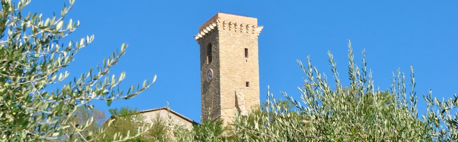 La torre di Celle sul Rigo